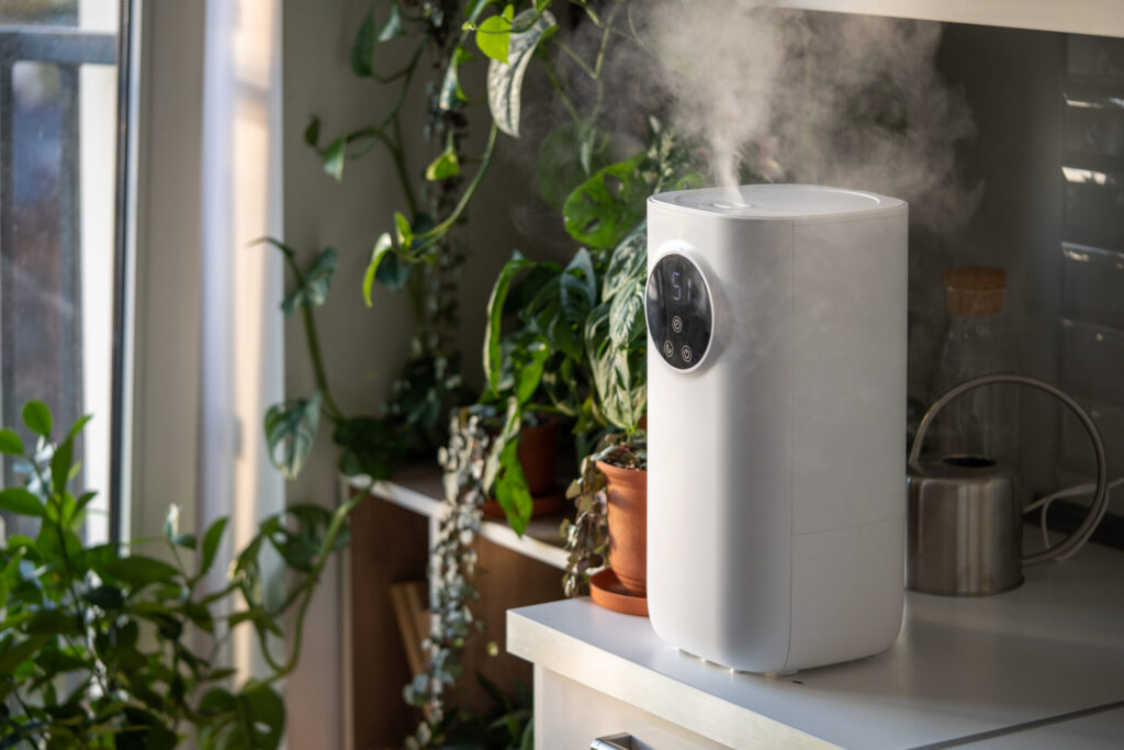 Discover the Benefits of Whole House Dehumidifiers for Your Denton Home 1 Whole House Dehumidifiers